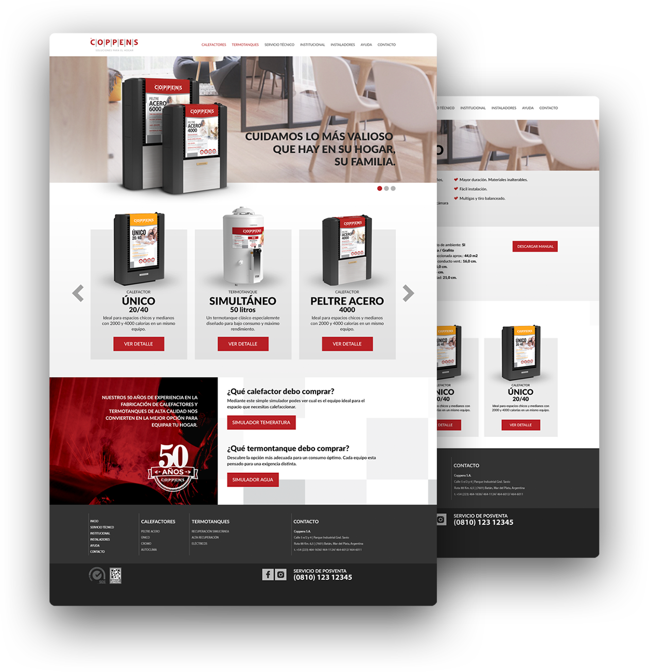 Screenshopt del desarrollo del sitio web